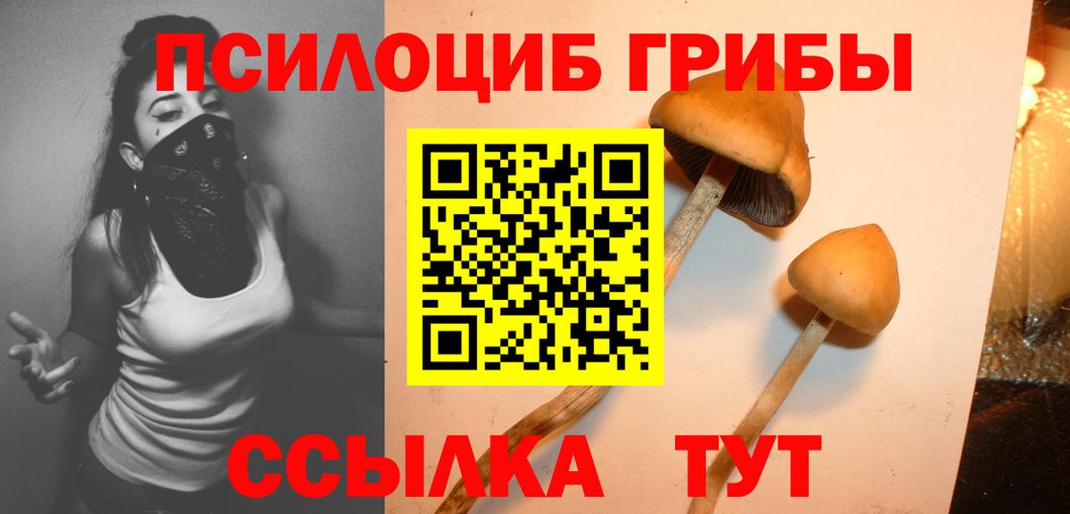 Галлюциногенные грибы MAGIC MUSHROOMS  Псилоцибиновые грибы мухоморы  Орск  Вход с VPN 