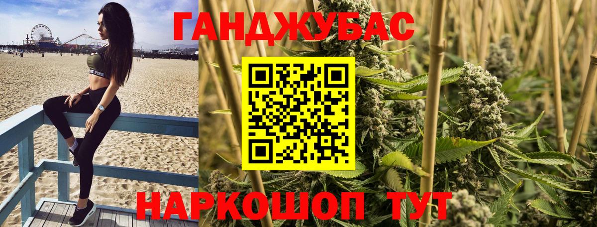 Конопля сатива Орск